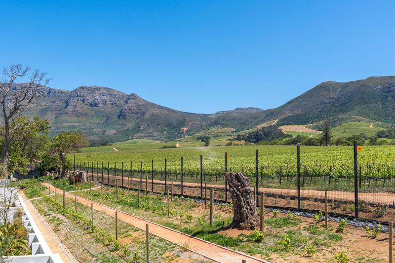 To Let 2 Bedroom Property for Rent in Constantia Western Cape